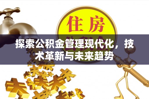 黄石港探索公积金管理现代化，技术革新与未来趋势