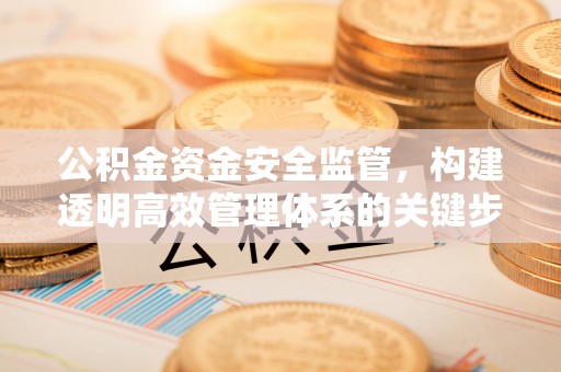 黄石港公积金资金安全监管，构建透明高效管理体系的关键步骤