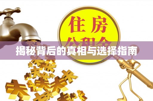 黄石港揭秘背后的真相与选择指南