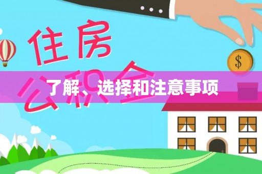 黄石港了解、选择和注意事项