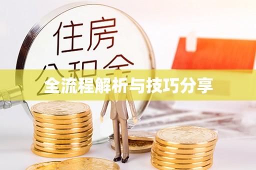 黄石港全流程解析与技巧分享